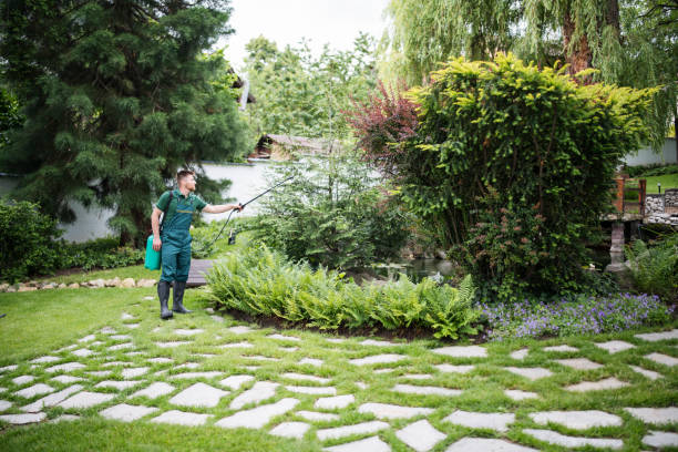 Best Pest Removal Services  in Speers, PA