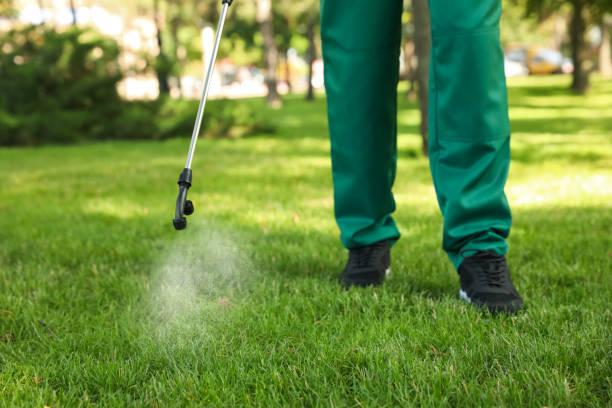 Best Mosquito Control Services  in Speers, PA