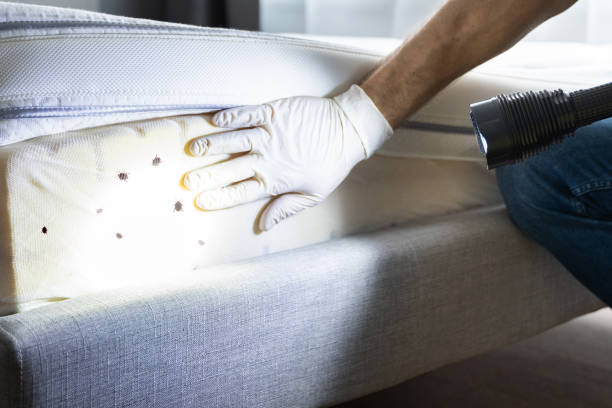 Pest Control Cost in Speers, PA