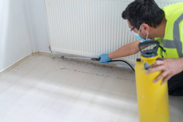 Best Pest Control Cost  in Speers, PA